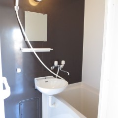 浴室　アクセント壁はジュエリーブラウンを使用しています。